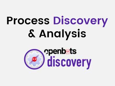 Process Discovery and Analysis